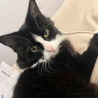 Photo of Lexie