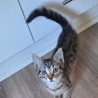 Photo of Timmy
