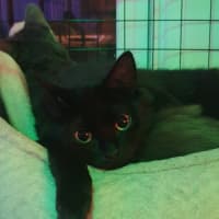 Photo of Thunder And Storm