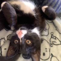 Photo of Prudence