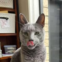 Photo of Jasper