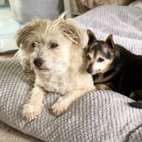 Photo of Miguel Kumara