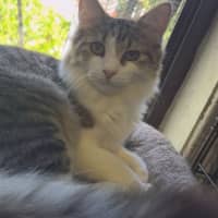 Photo of Watson 