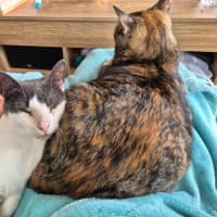 Photo of Stu / Sophie