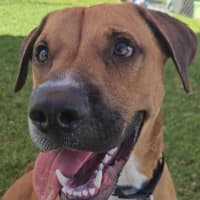Photo of Taco