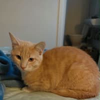 Photo of Roco Jacob