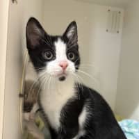 Photo of Taco