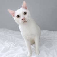 Photo of Mr Snow