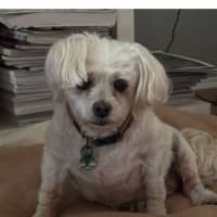 Photo of Wally And Ollie Peggotty