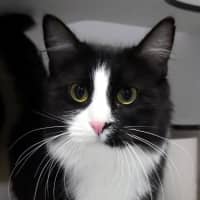 Photo of Waverley Sta013956