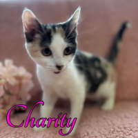 Photo of Charity 