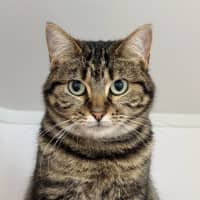 Photo of Tabitha Sta012520