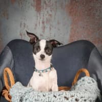 Photo of Bernard 