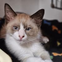 Photo of Spice