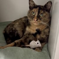 Photo of Jinxie