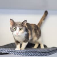 Photo of Pretty Lady
