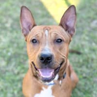 Photo of Reuben