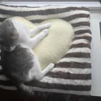 Photo of Rocket