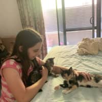 Photo of Licketty Split