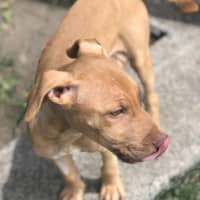 Photo of Lulu
