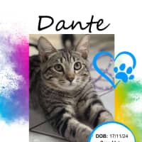 Photo of Dante