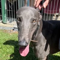 Photo of Wally