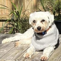 Photo of Sophie