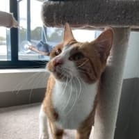 Photo of Owen