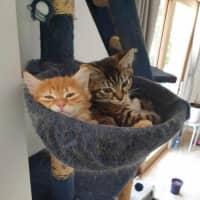 Photo of Edwina Biscuits