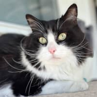 Photo of Rueben