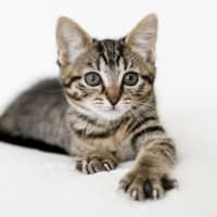 Photo of Milly