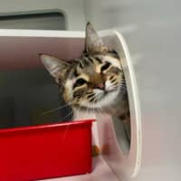 Photo of Leya