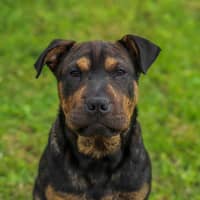 Photo of Bennie