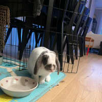 Photo of Asher