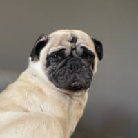 Photo of Lenny Lou