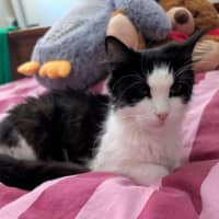 Photo of Miss Biccies