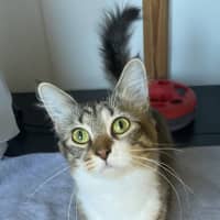 Photo of Abigail