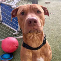 Photo of Tookie 
