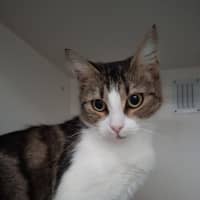 Photo of Sophia