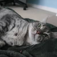 Photo of Kiara