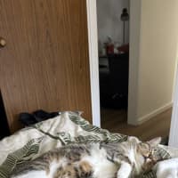 Photo of Samantha