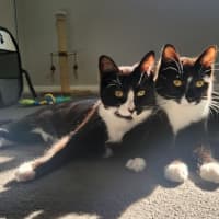 Photo of Lucy & Fletch