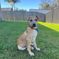 Photo of Bronte