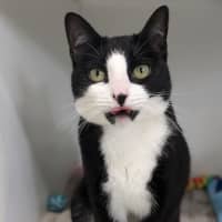 Photo of 💕 Yin 5660 💕