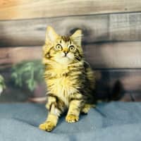 Photo of Sky   Located In Wallan