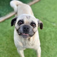 Photo of Wilma