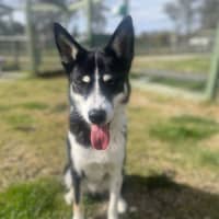 Photo of Zuri Mitrovic