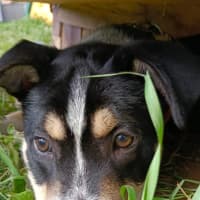 Photo of Laurie