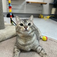 Photo of Stormi And Yeow Yeow