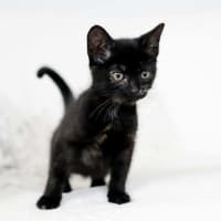 Photo of Minnie